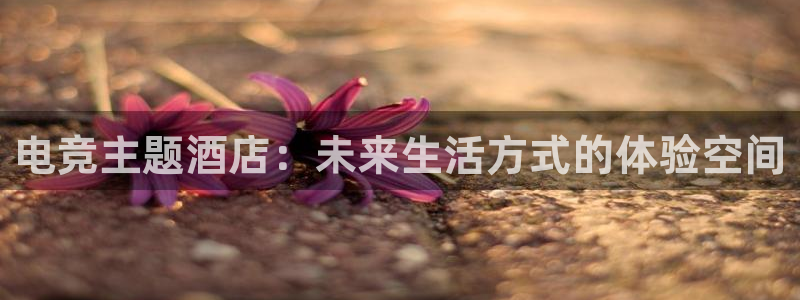 米兰电竞登录入口